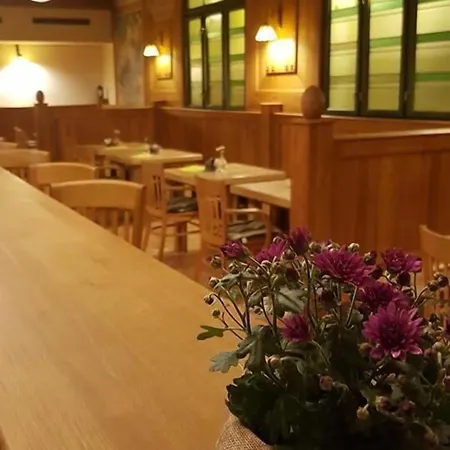 Hotel Zlaty Lev 4*