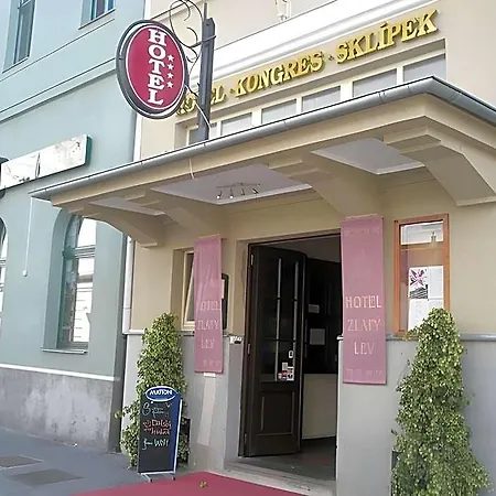Hotel Zlatý Lev 4*