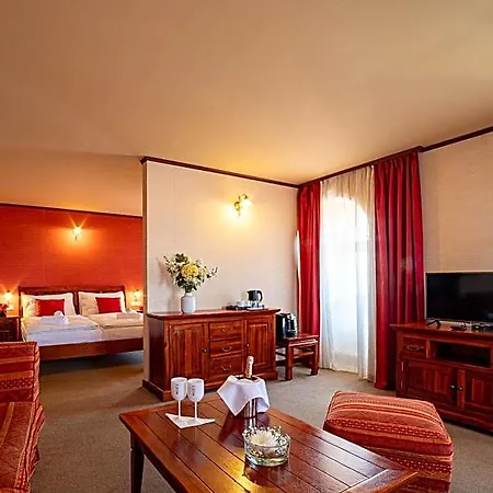 Hotel Zlatý Lev 4*