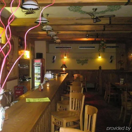 Hotel Zlatý Lev 4*