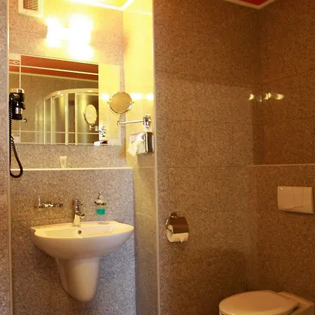 Hotel Zlaty Lev 4*