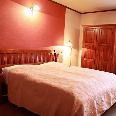 Hotel Zlaty Lev 4*