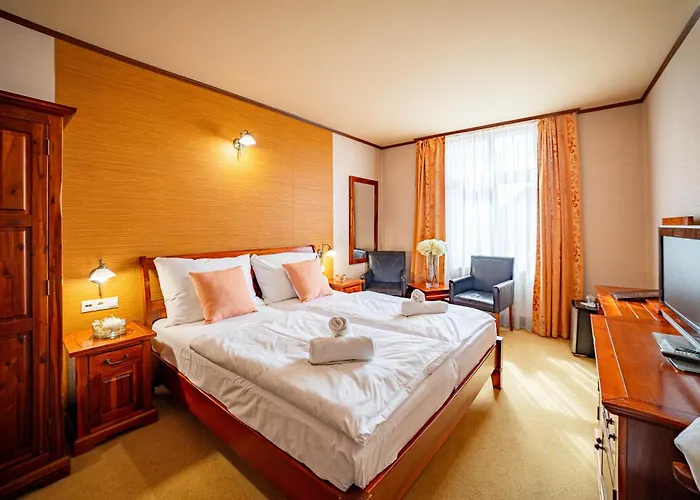 Hotel Zlaty Lev 4*