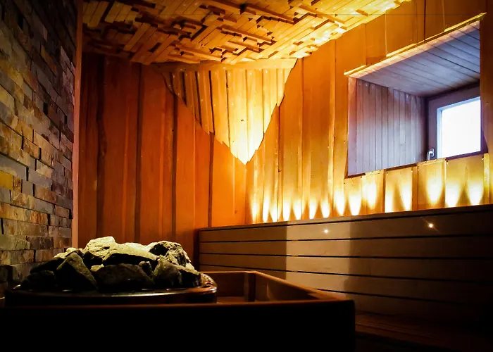Hotel Zlaty Lev 4*