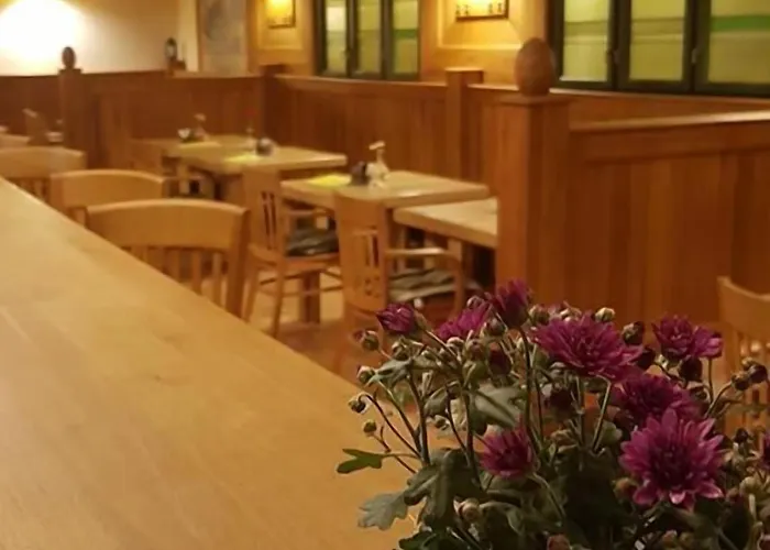 Hotel Zlaty Lev 4*