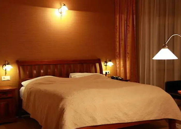 Hotel Zlaty Lev 4*
